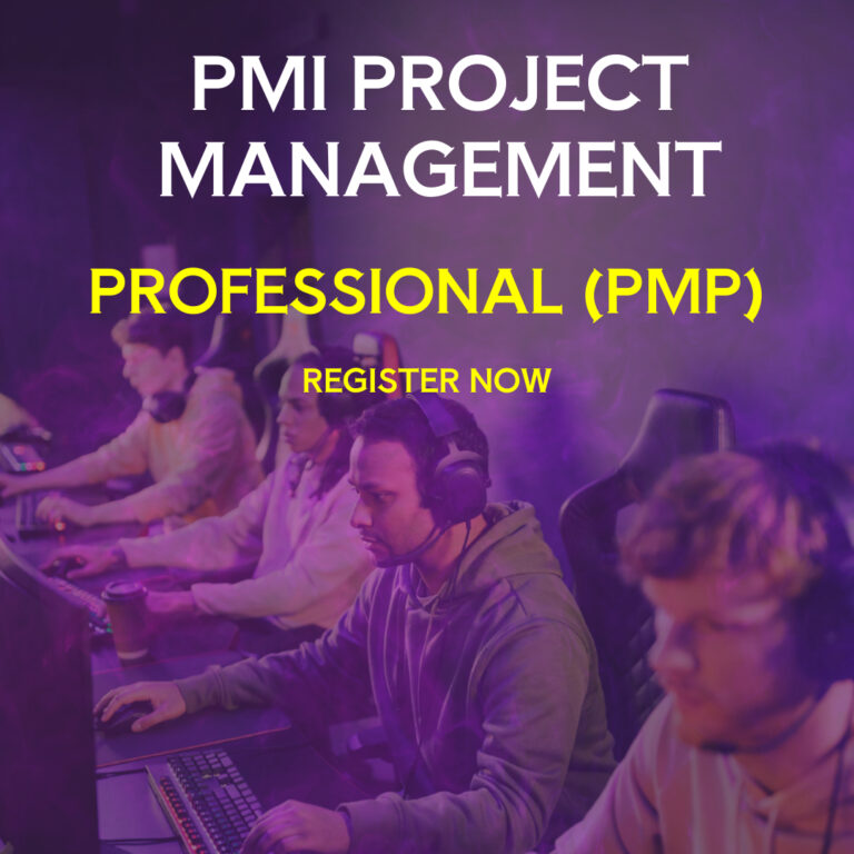 PMI Project Management Professional (PMP)